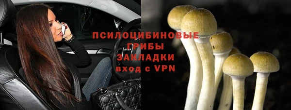 прущая мука Струнино