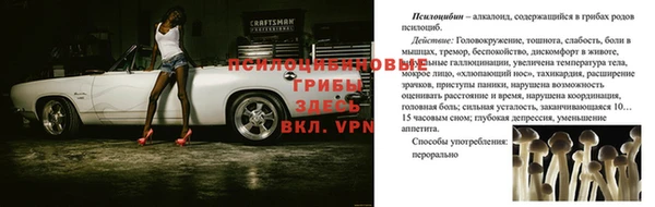 МДПВ Богородицк