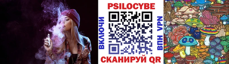 дарнет шоп  Павловск  Псилоцибиновые грибы мицелий 